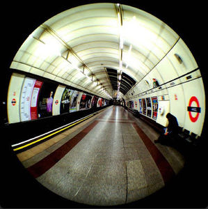 Meet your Posher, Sophia